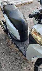 Sh 300 del 2014 in perfette condizioni