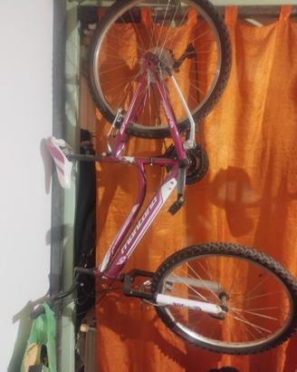 Bicicletta ragazza