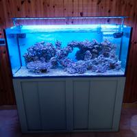 Acquario marino di barriera