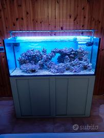 Acquario marino di barriera