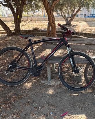 Bicicletta
