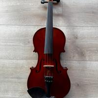Violino
