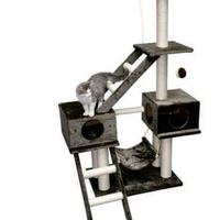 *TIRAGRAFFI GATTO NUOVO PARIGI