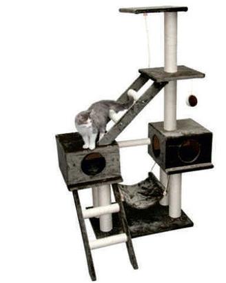 *TIRAGRAFFI GATTO NUOVO PARIGI