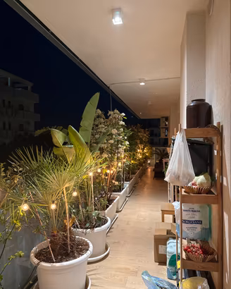 Piante mature + vasi grandi (privacy completa)