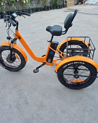bici elettrica 3 ruote