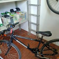 bicicletta