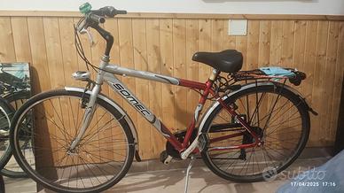 bicicletta non elettrica