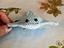 Immagine 4