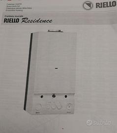 Caldaia murale metano/gpl