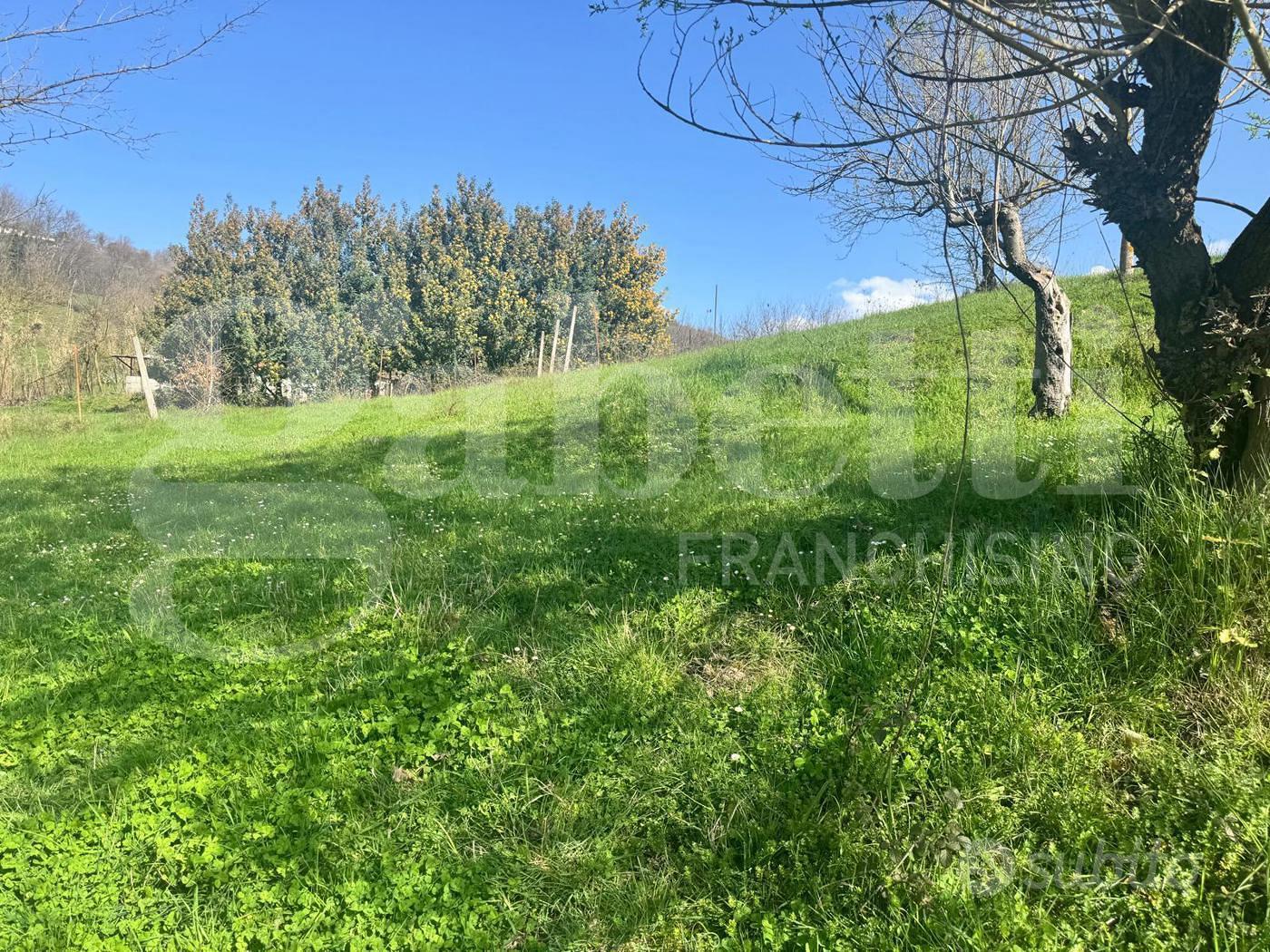 Rustico/Casale/Corte Pratella - Altro
