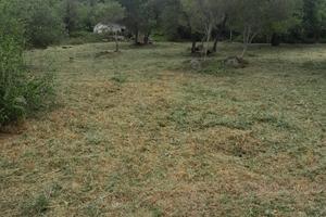 Vendita terreno agricolo follonica