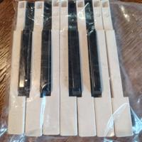 tasti bianchi neri Korg M1