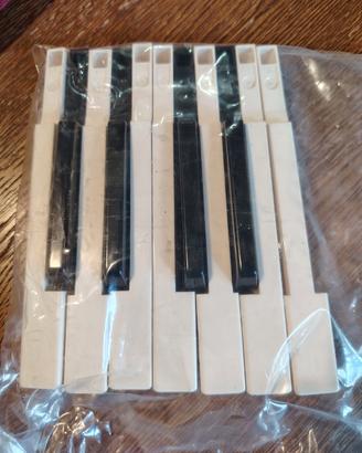 tasti bianchi neri Korg M1