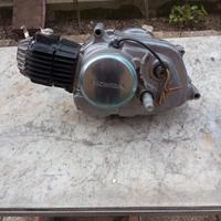 Blocco motore Honda 50 Amigo