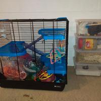 criceto - gabbia e accessori vari