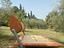 Immagine 3