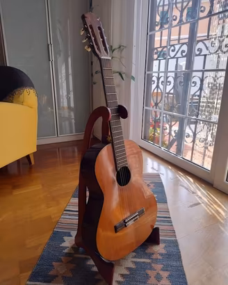 Chitarra acustica Kingston