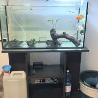 acquario e mobiletto