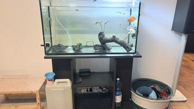 acquario e mobiletto