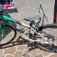 mountain bike raggio 24