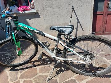 mountain bike raggio 24