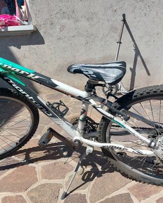 mountain bike raggio 24