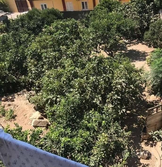 Appartamento – Lampedusa, Cala Creta - Vista 4