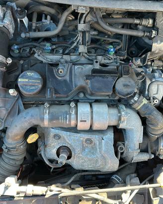Motore ford fiesta 2017 1.5 XUJA/B