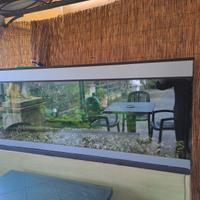 Acquario 600 litri