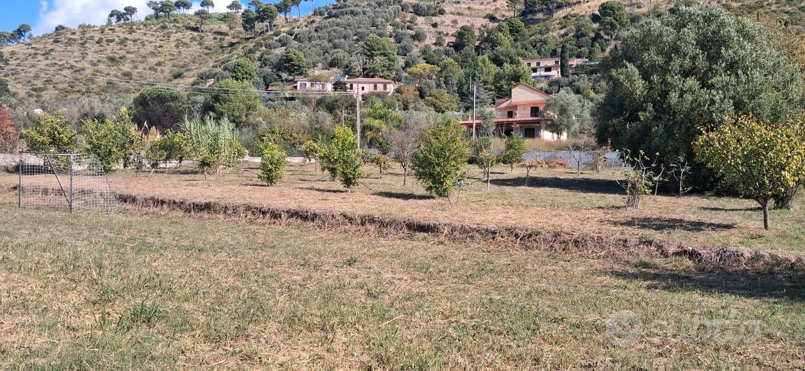 Terreno agricolo 2.000 mq recintato - Castellabate - Vista 5