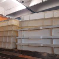 Vaschette per impasto pizza