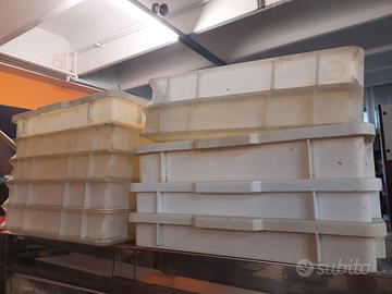 Vaschette per impasto pizza