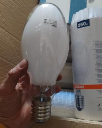 Lampada x Parabola OSRAM 250w