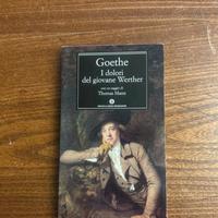 I dolori del giovane Werther