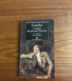 I dolori del giovane Werther
