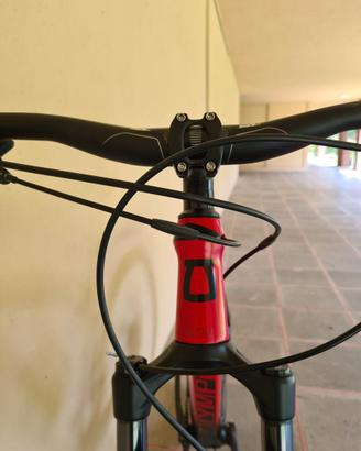 Mountain bike