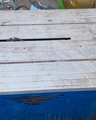 sega circolare da banco Nupower Evolution