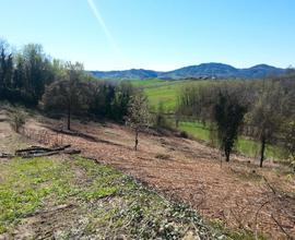 Castiglione Torinese Terreno agricolo di 4800 m2