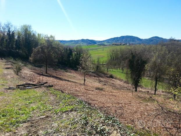 Castiglione Torinese Terreno agricolo di 4800 m2