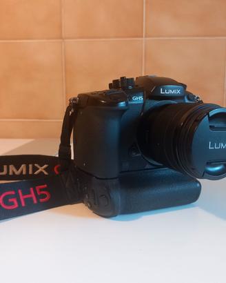 Panasonic Lumix DC GH5+12-60 f3.5-5.6+Battery grip
