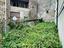 Immagine 10