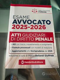 Atti giudiziari dirirtto penale esame avvocato