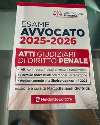 Atti giudiziari dirirtto penale esame avvocato