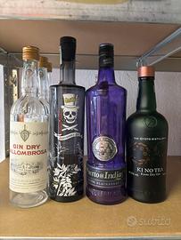 Bottiglie gin vuote ( gastro, puertos of Indians)
