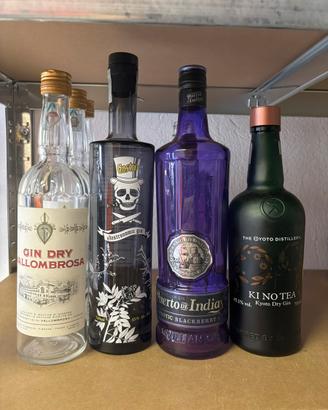 Bottiglie gin vuote ( gastro, puertos of Indians)