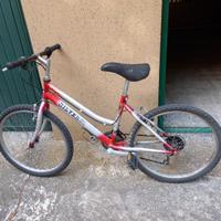 Bicicletta Silver Star 