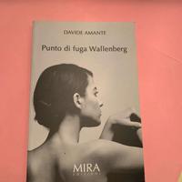 Punto di fuga wallenberg