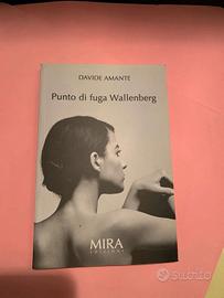 Punto di fuga wallenberg