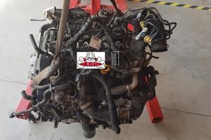 SKODA FABIA POLO GOLF MOTORE CUSA 55kw 75cv DIESEL